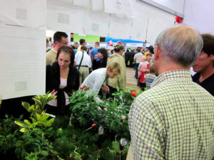 habarufusuku1215 ハバロフスクで(その1)-スパシーバと笑顔