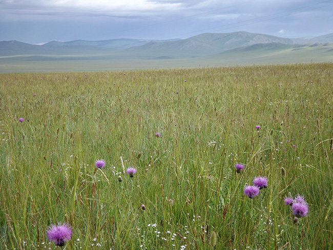 モンゴル日記-01