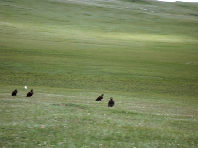 >【北モンゴル最奥部を訪ねて15 】