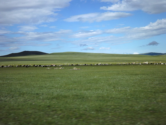 北モンゴル最奥部を訪ねて17