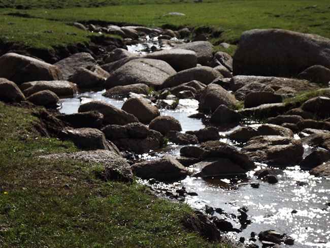 北モンゴル最奥部を訪ねて18