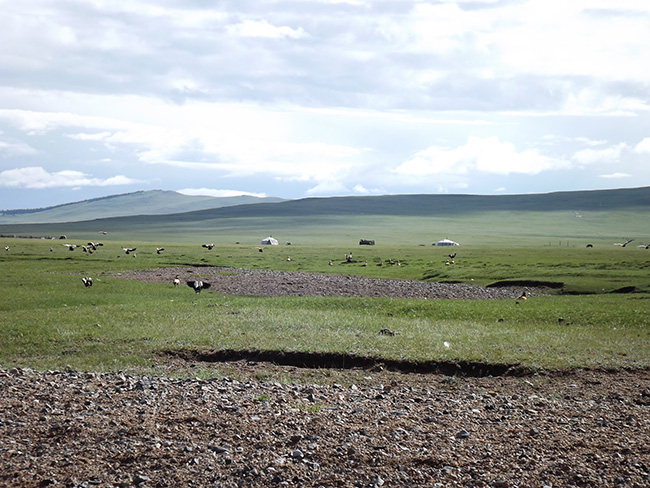 北モンゴル最奥部を訪ねて19