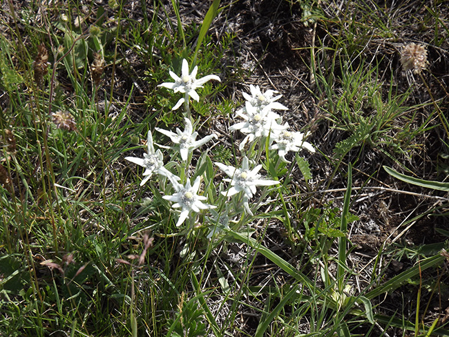 北モンゴル最奥部を訪ねて21