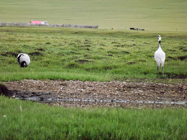 北モンゴル最奥部を訪ねて22