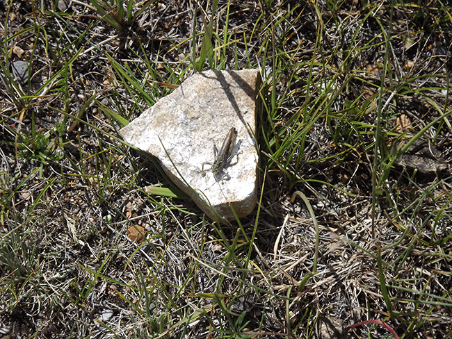 北モンゴル最奥部を訪ねて23