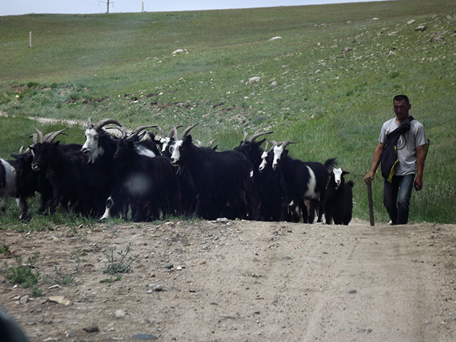 北モンゴル最奥部を訪ねて28