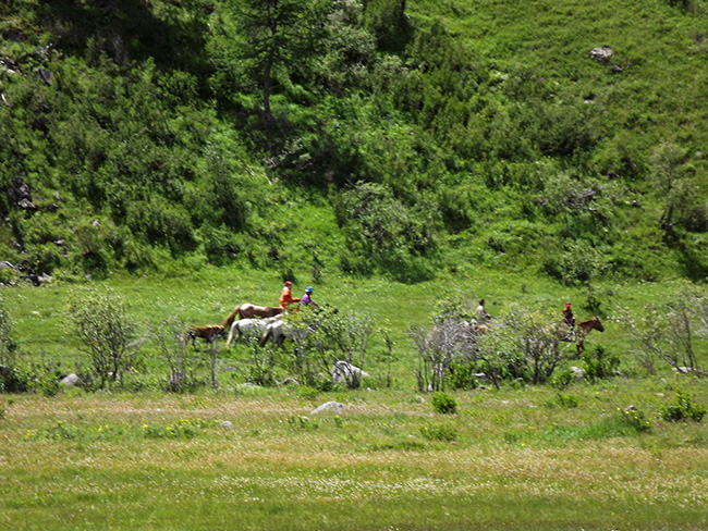 北モンゴル最奥部を訪ねて29