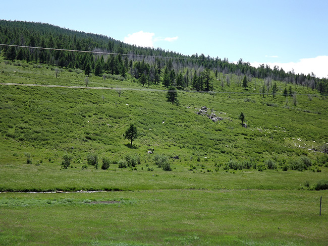 北モンゴル最奥部を訪ねて29