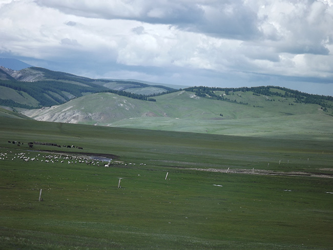 北モンゴル最奥部を訪ねて34