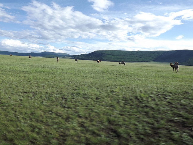 北モンゴル最奥部を訪ねて47 -003