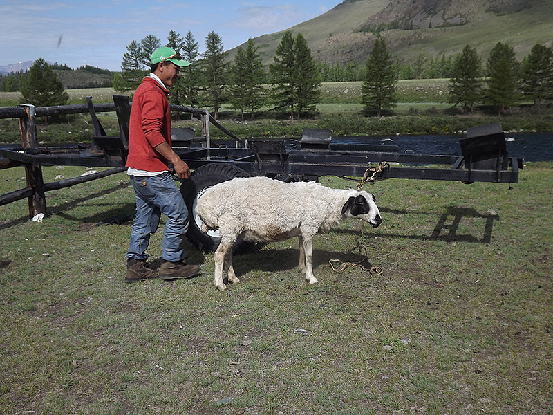 北モンゴル最奥部を訪ねて64