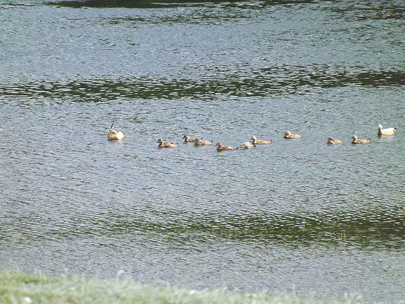 北モンゴル最奥部を訪ねて66