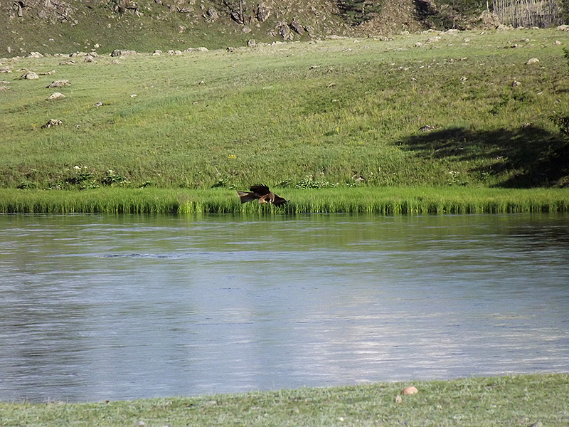 北モンゴル最奥部を訪ねて67