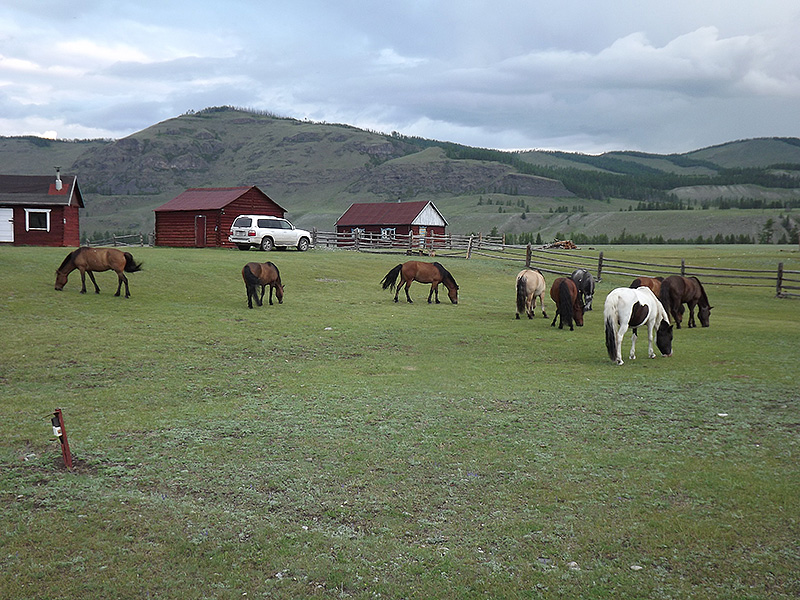北モンゴル最奥部を訪ねて69