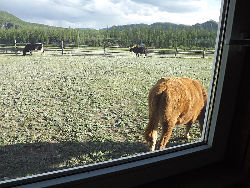 北モンゴル最奥部を訪ねて70
