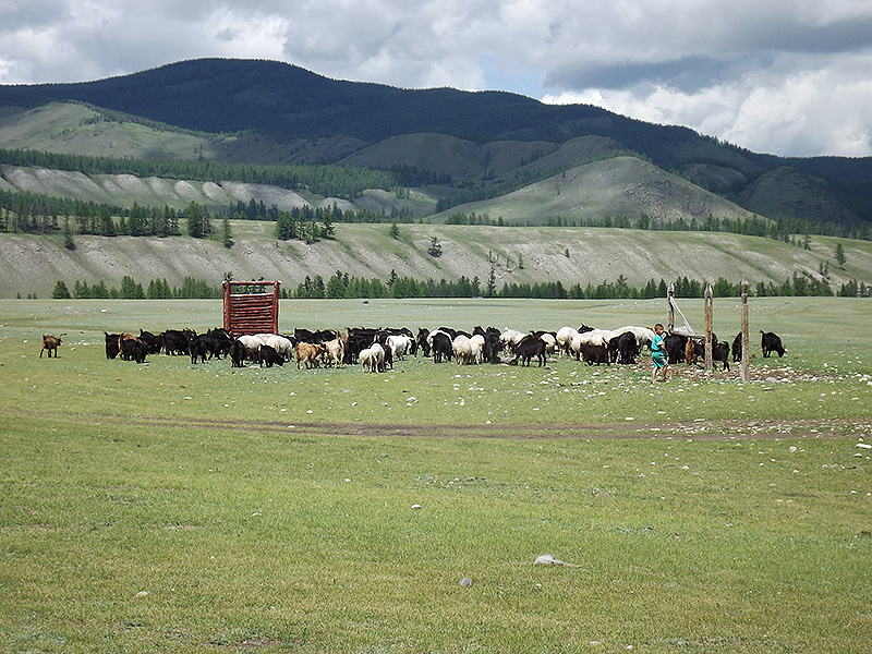 北モンゴル最奥部を訪ねて72