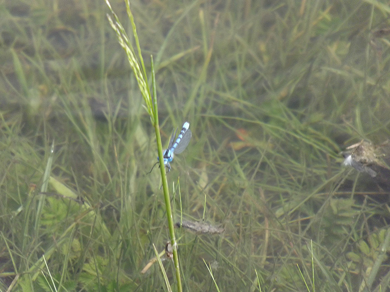 北モンゴル最奥部を訪ねて104